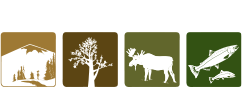 SERNbc &#45; Society for Ecosystem Restoration in Northern BC