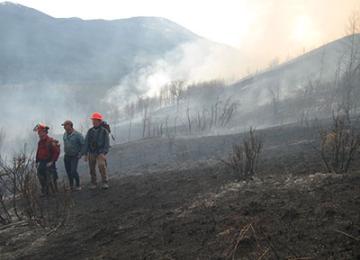 burn_2012_2.jpg