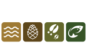 SERNbc - Society for Ecosystem Restoration in Northern BC