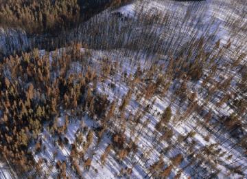 ShovelLake.jpg