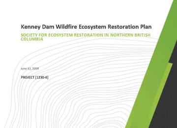 Kenney_Dam_Wildfire_ERP_Report_pg1.jpg