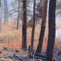 October 18 Test Burn