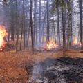 October 18 Test Burn