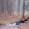 October 24 Final Burn