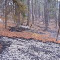 October 24 Final Burn