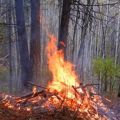 October 16 Test Burn