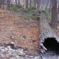 October 24 Final Burn