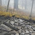 October 18 Test Burn