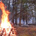 October 18 Test Burn