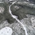 Z11_GapCreationTreatment_Foreground_shows_halfha_and_1ha_gaps.jpg