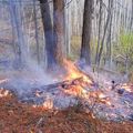 October 16 Test Burn