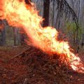 October 16 Test Burn