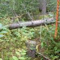 Blks 14 and Access Trail, and 15