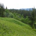 Blks 14 and Access Trail, and 15