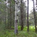 Blks 14 and Access Trail, and 15