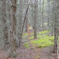 Blks 14 and Access Trail, and 15