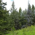 Blks 14 and Access Trail, and 15