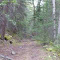 Blks 14 and Access Trail, and 15
